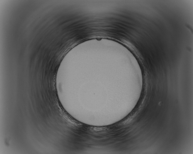 X0000100480857200807031850