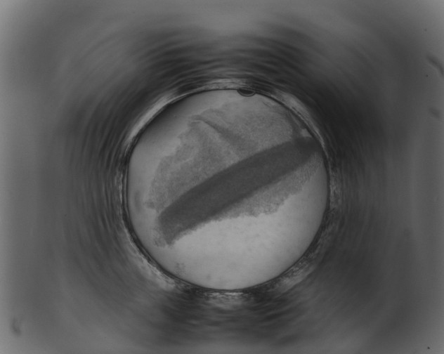 X0000100480859200807031850