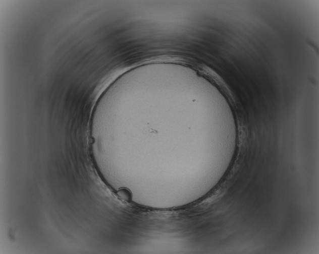 X0000100480860200807031850