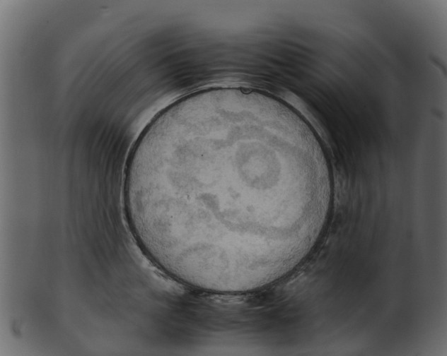 X0000100480861200807031850