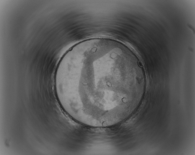 X0000100480862200807031850