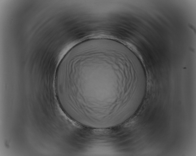 X0000100480863200807031850