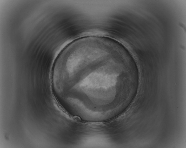 X0000100480864200807031850