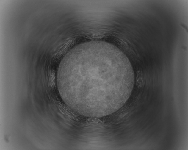 X0000100480866200807031849