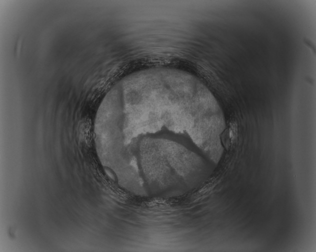 X0000100480867200807031849