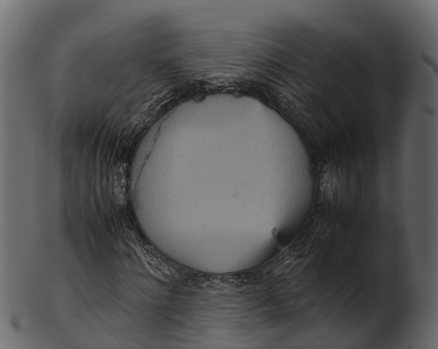 X0000100480868200807031849