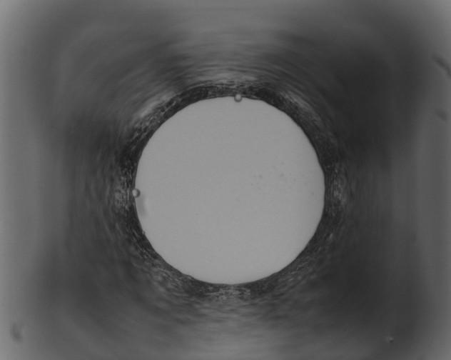 X0000100480869200807031849