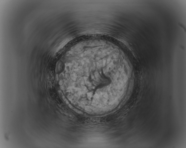 X0000100480871200807031849