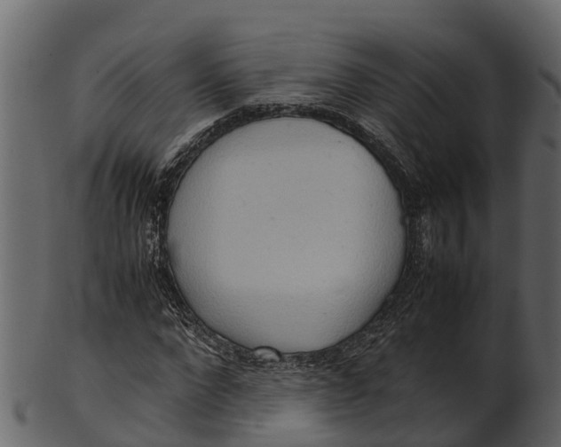 X0000100480872200807031849