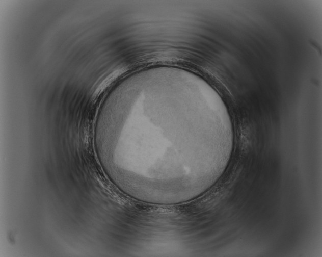 X0000100480874200807031849