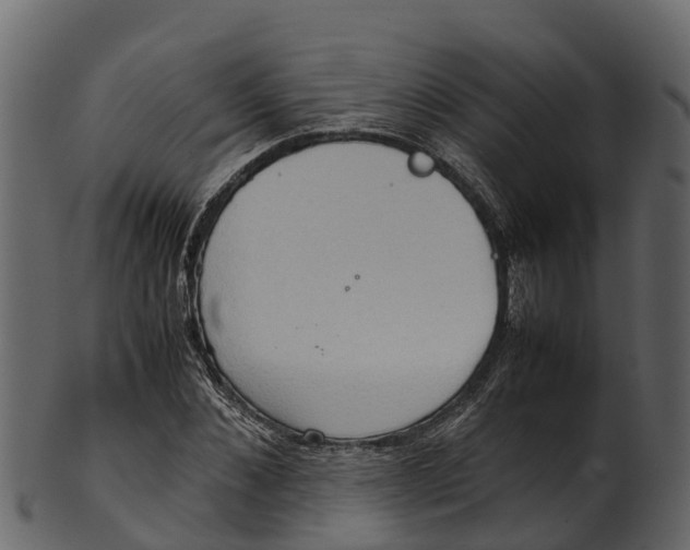 X0000100480876200807031849