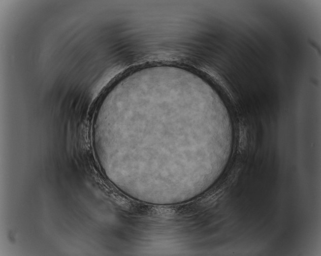 X0000100480878200807031849