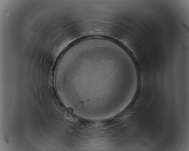 X0000100480879200807031849