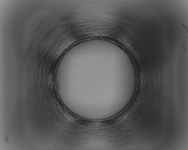 X0000100480881200807031849