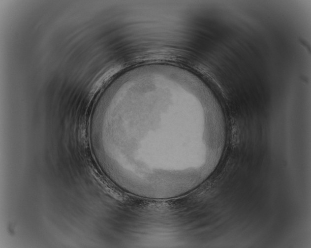 X0000100480882200807031849