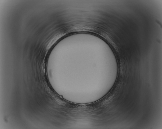 X0000100480885200807031849