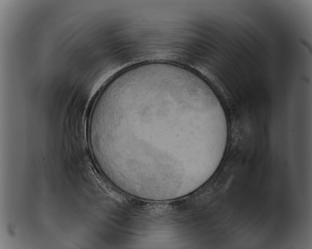 X0000100480886200807031849