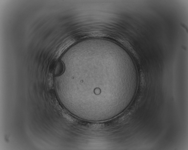 X0000100480889200807031849