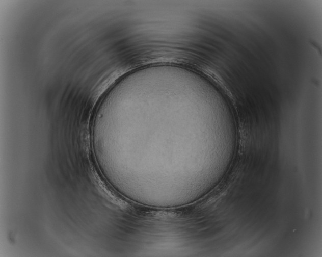 X0000100480890200807031849