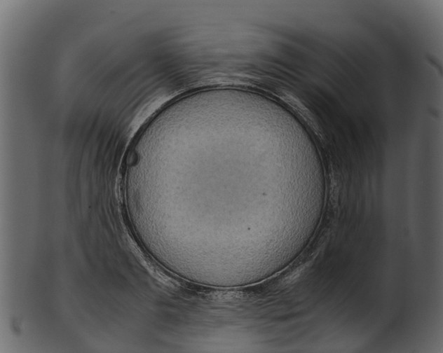 X0000100480893200807031849