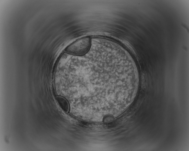 X0000100480895200807031849