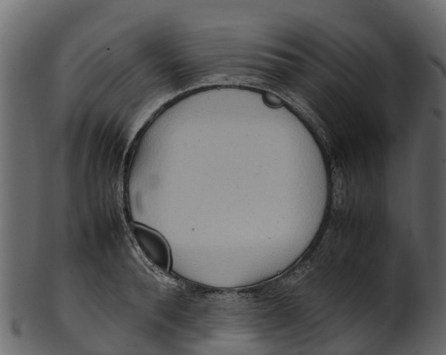 X0000100480896200807031849