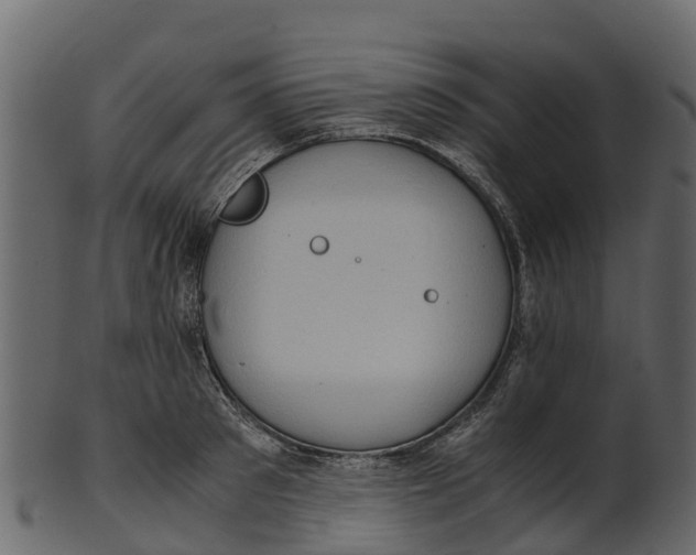 X0000100480897200807031849