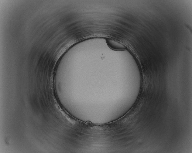 X0000100480898200807031849