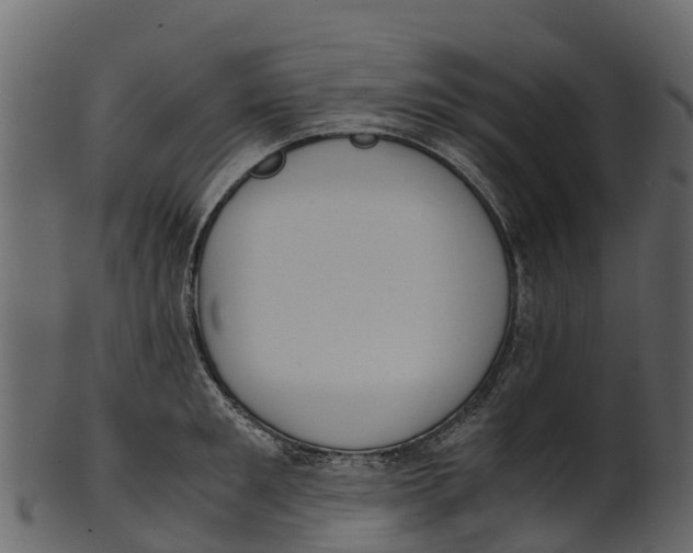 X0000100480901200807031849