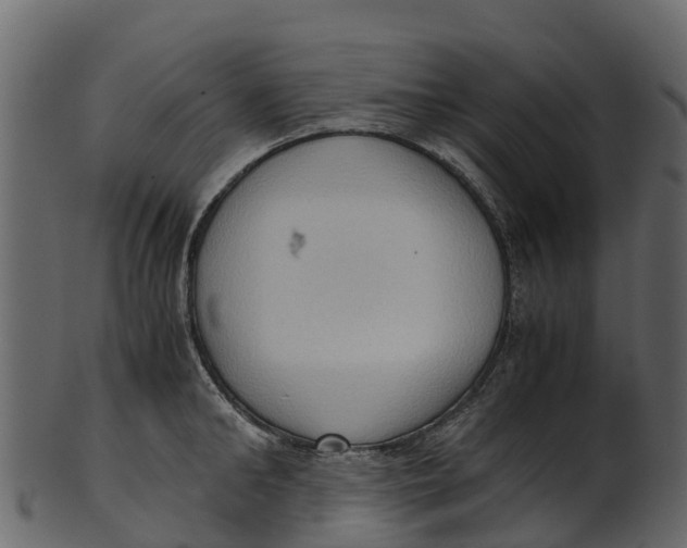 X0000100480902200807031849