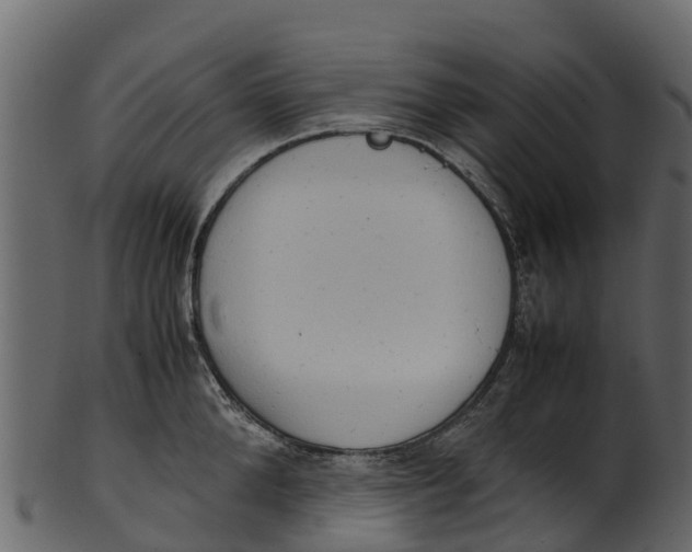 X0000100480904200807031849