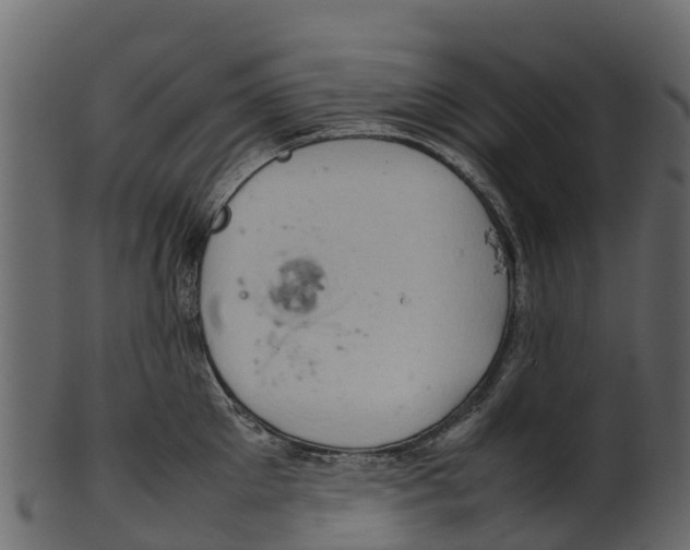 X0000100480905200807031849