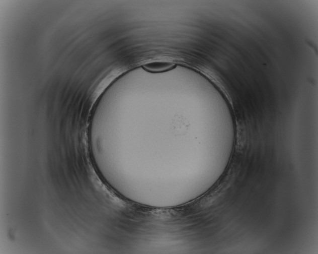 X0000100480906200807031849