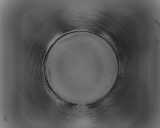 X0000100480907200807031849