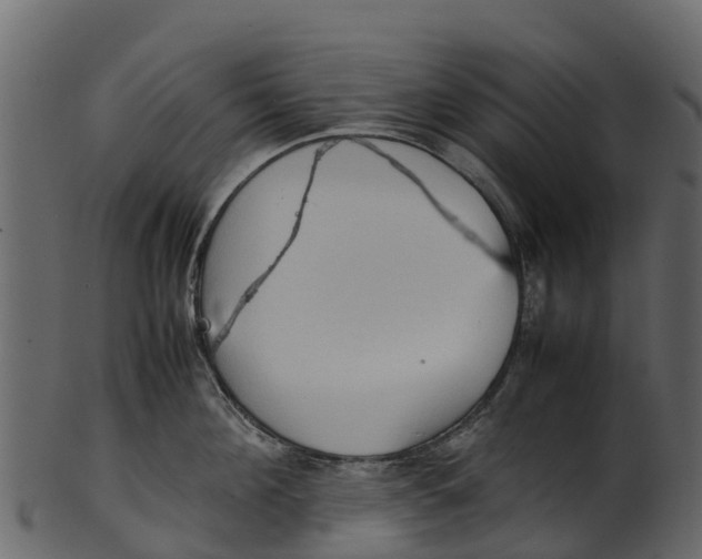 X0000100480908200807031849