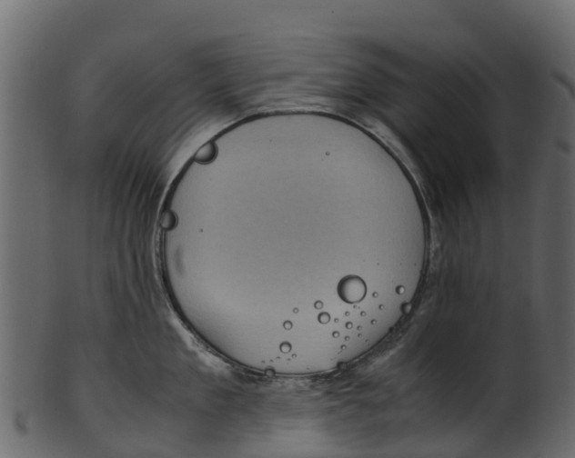 X0000100480909200807031848