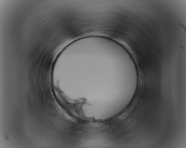 X0000100480910200807031848