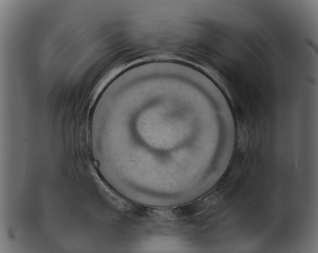 X0000100480911200807031848