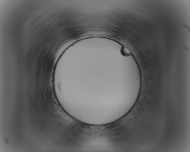 X0000100480912200807031848