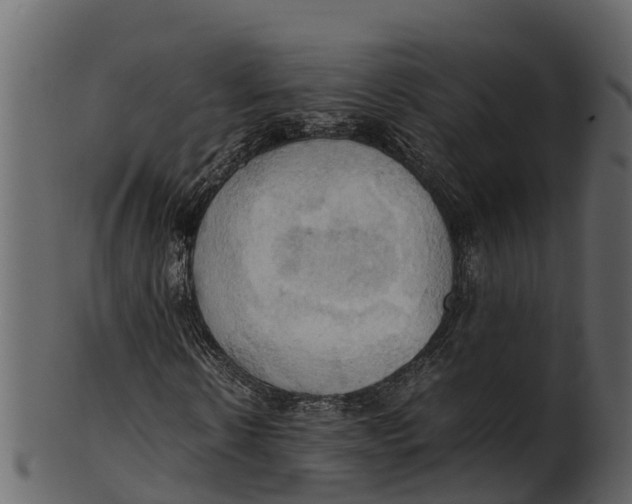 X0000100480914200807031848