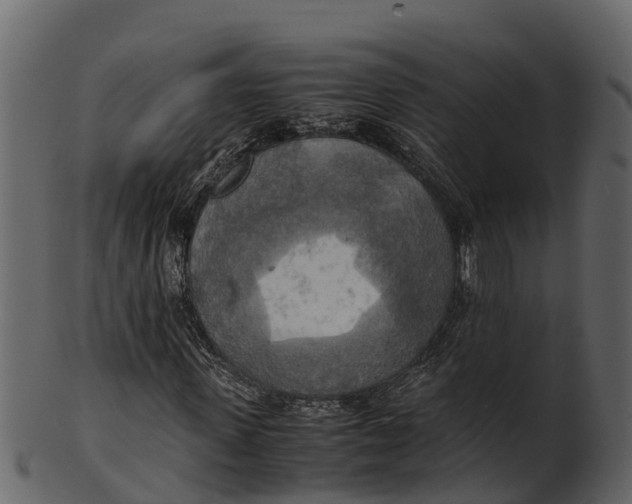 X0000100480915200807031848