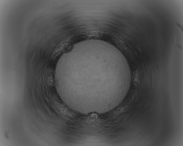 X0000100480916200807031848