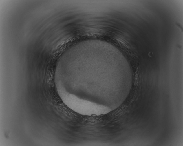 X0000100480917200807031848