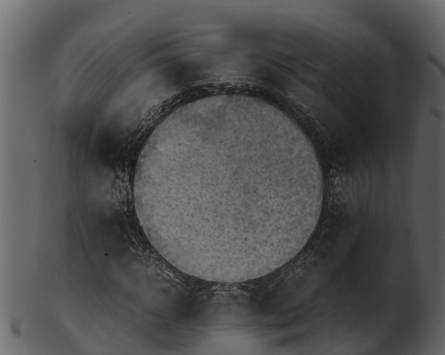 X0000100480918200807031848