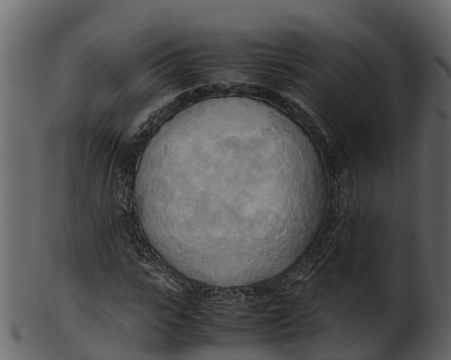 X0000100480919200807031848