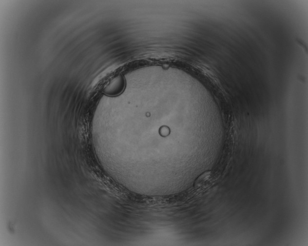 X0000100480920200807031848