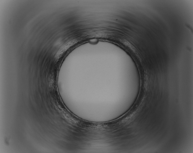 X0000100480922200807031848