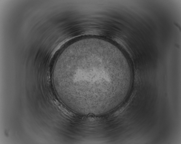 X0000100480923200807031848