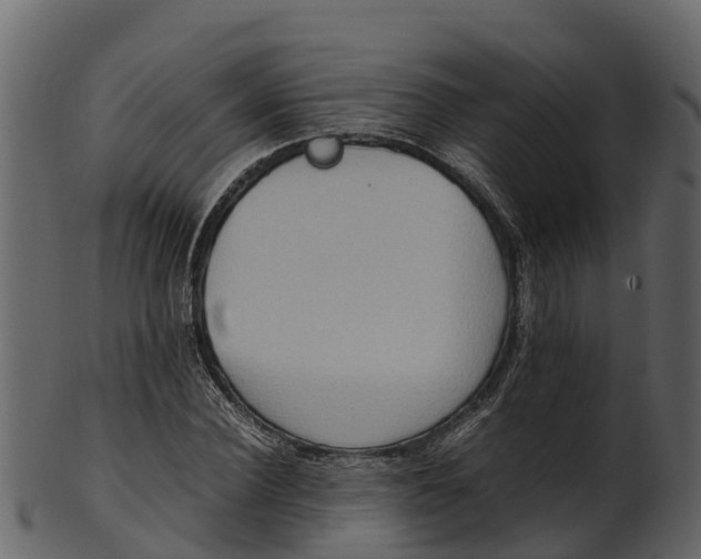 X0000100480924200807031848