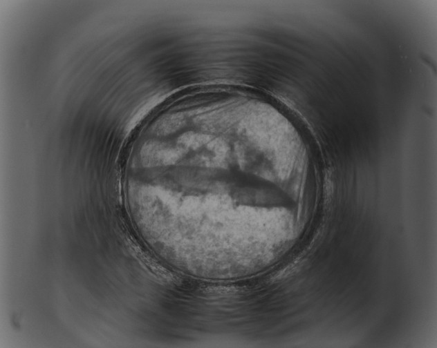 X0000100480925200807031848